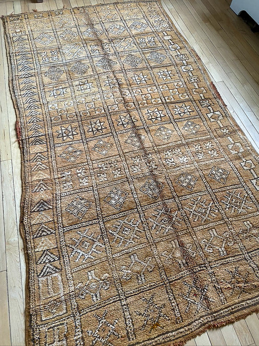 Tafedna Vintage Moroccan Rug